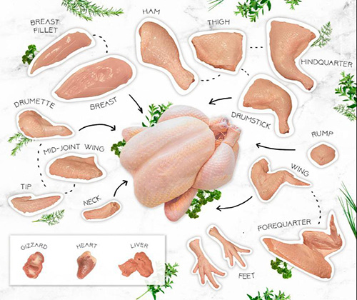 بخش های مختلف گوشت مرغ