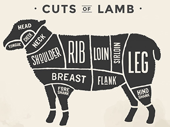 برش گوشت گوسفند به روش آمریکا و ایرلند