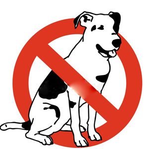 خوردن گوشت سگ ممنوع
